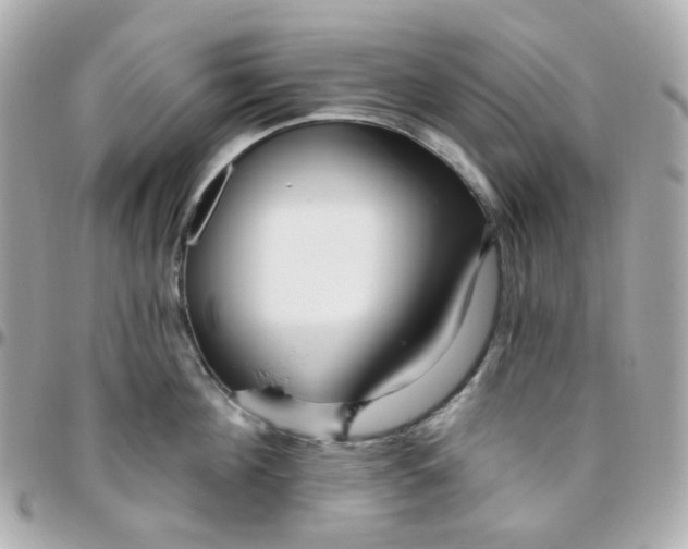 X0000095900908200802011125