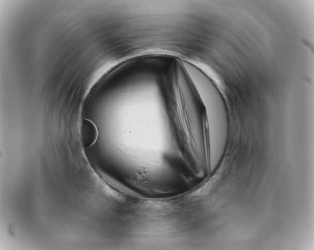 X0000095900910200802011125