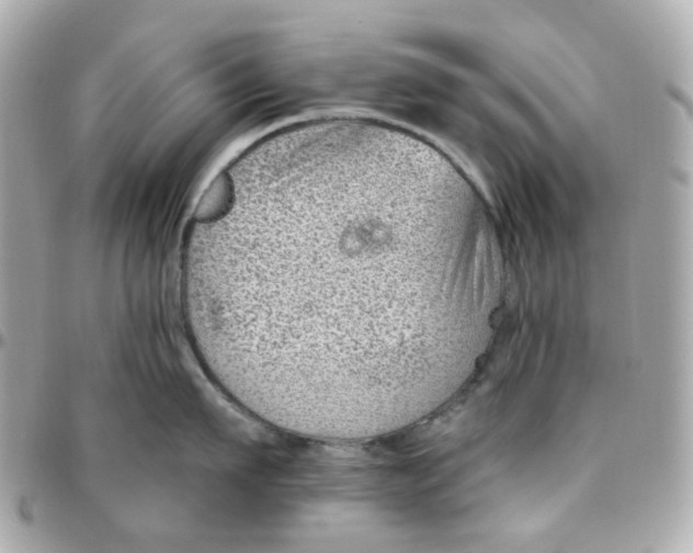 X0000095900911200802011125