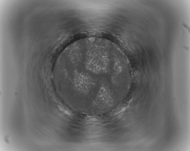 X0000095900913200802011125