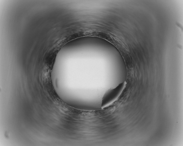 X0000095900914200802011125