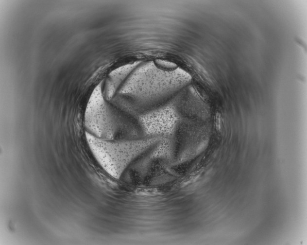 X0000095900915200802011125