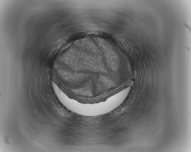 X0000095900916200802011125