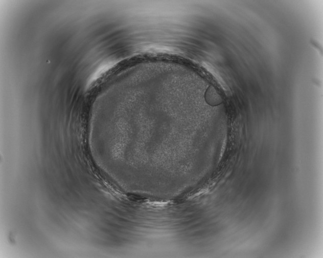 X0000095900919200802011125