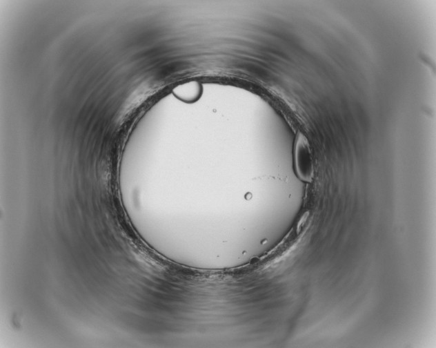 X0000095900922200802011125