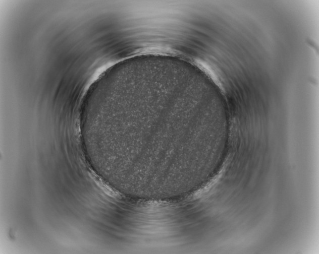 X0000095900923200802011125