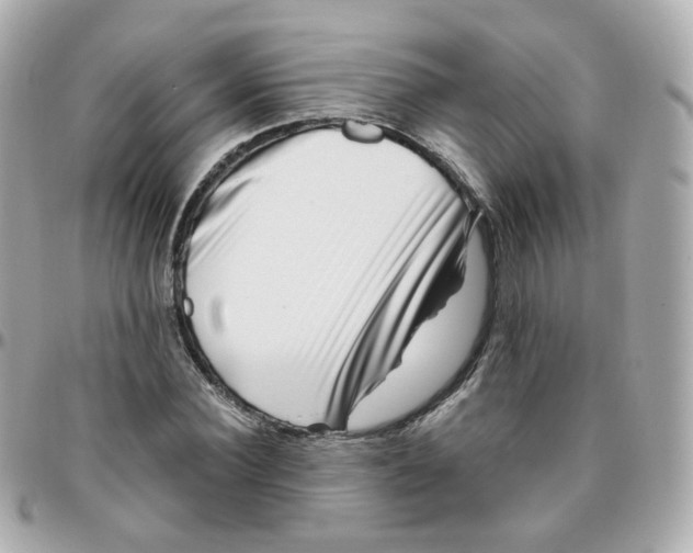 X0000095900924200802011125