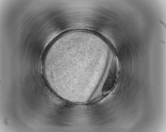 X0000095900925200802011125