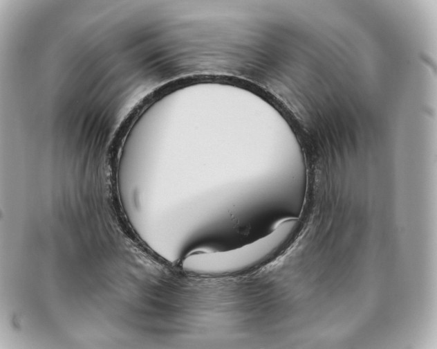 X0000095900926200802011125