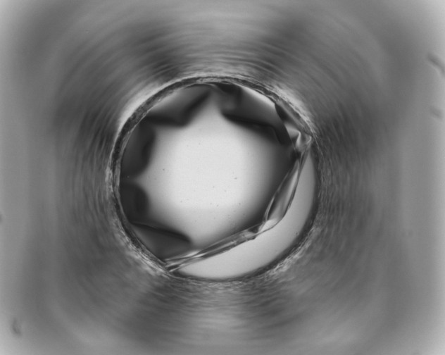 X0000095900928200802011125