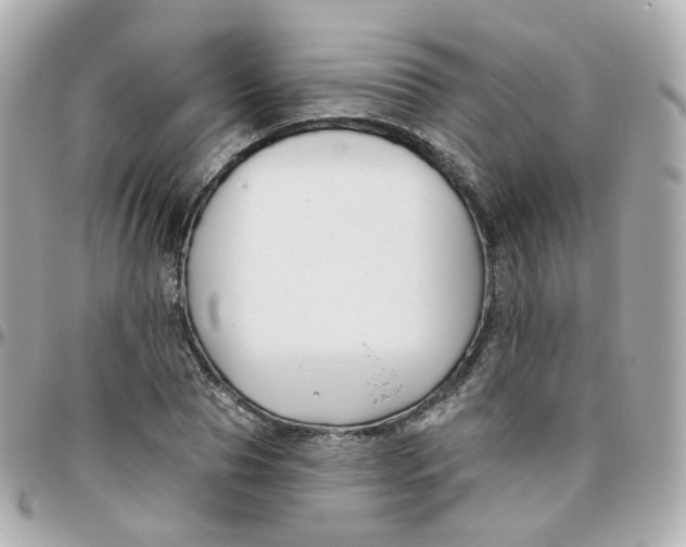 X0000095900929200802011125