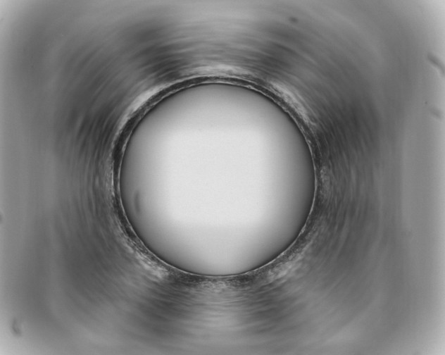 X0000095900931200802011125