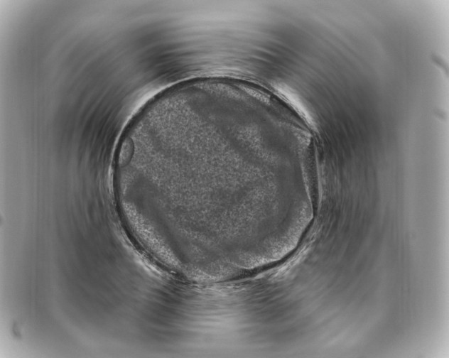 X0000095900932200802011125