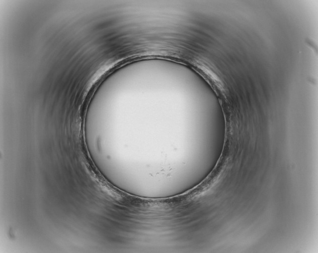 X0000095900933200802011125