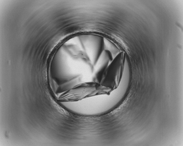 X0000095900934200802011125