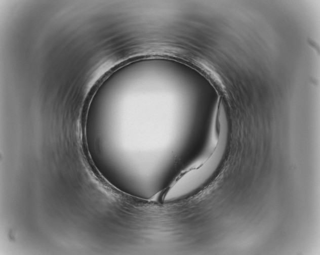 X0000095900936200802011125