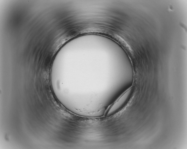 X0000095900937200802011125