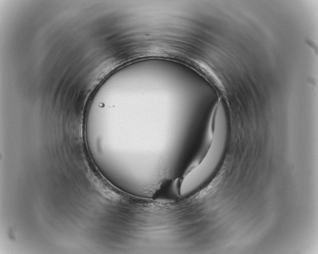 X0000095900938200802011125