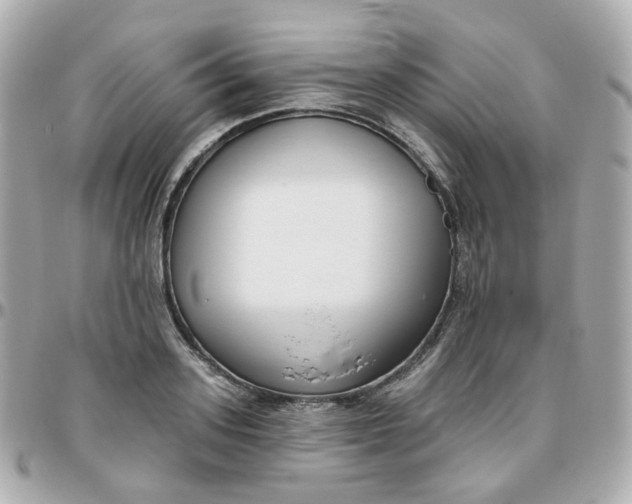 X0000095900939200802011125