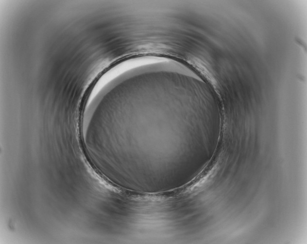 X0000095900941200802011125