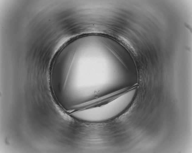 X0000095900942200802011125