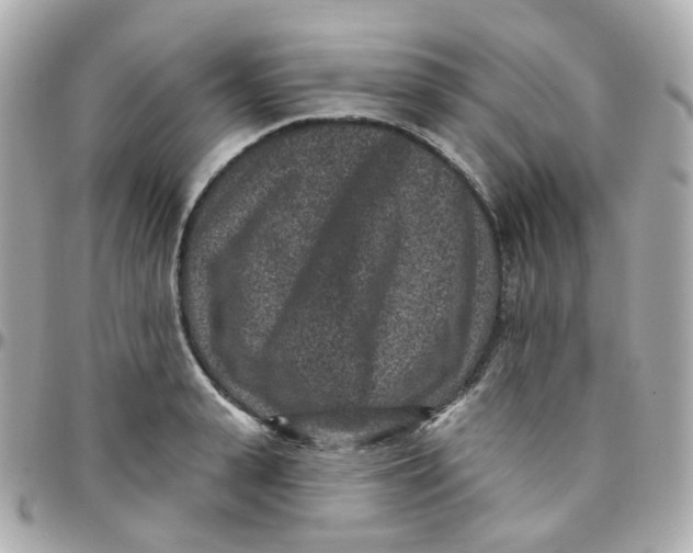 X0000095900943200802011125