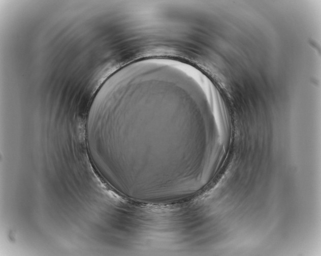 X0000095900945200802011125