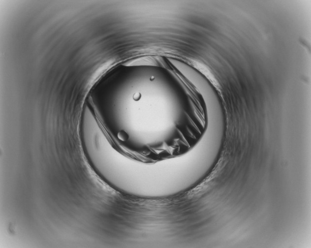 X0000095900946200802011125