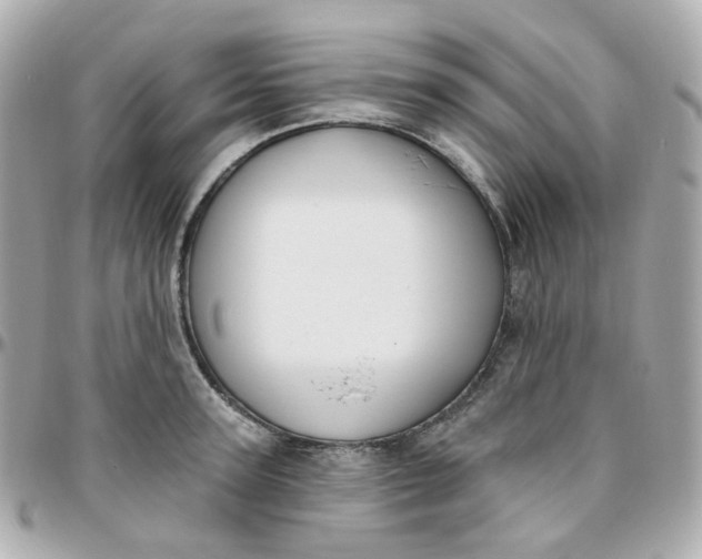 X0000095900947200802011125