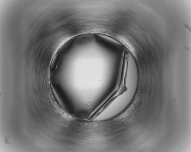 X0000095900948200802011125