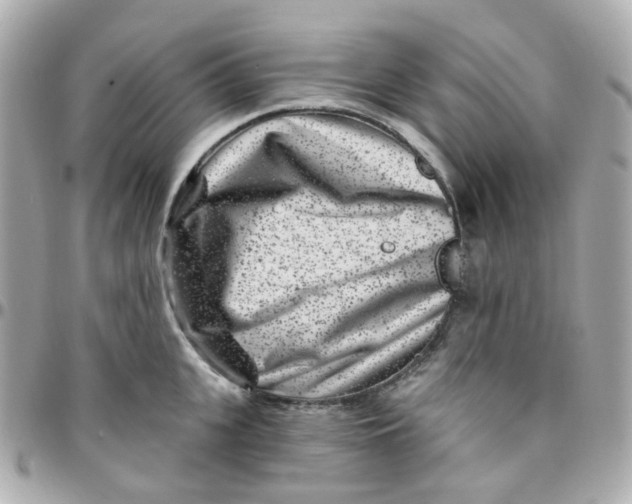 X0000095900951200802011125