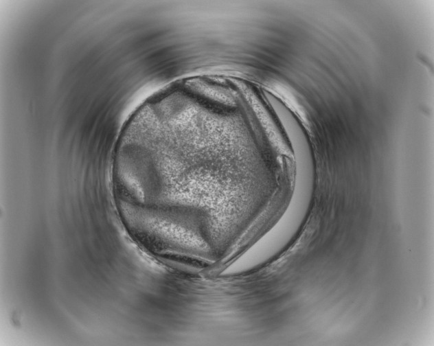 X0000095900952200802011125