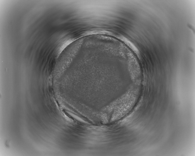 X0000095900953200802011125