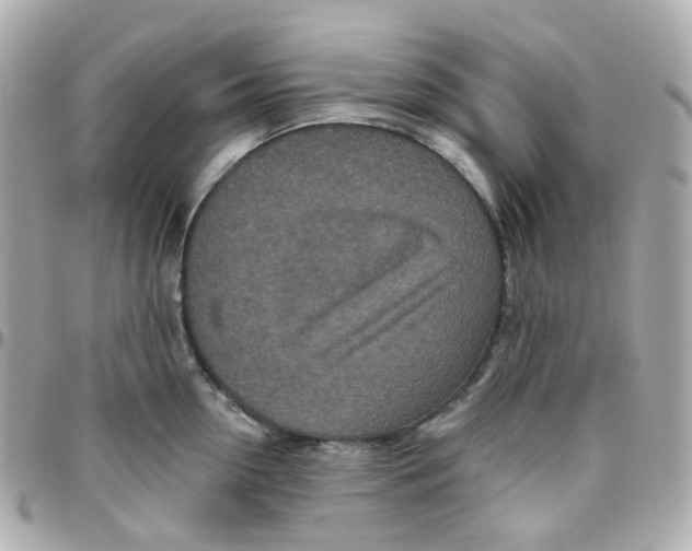 X0000095900954200802011125