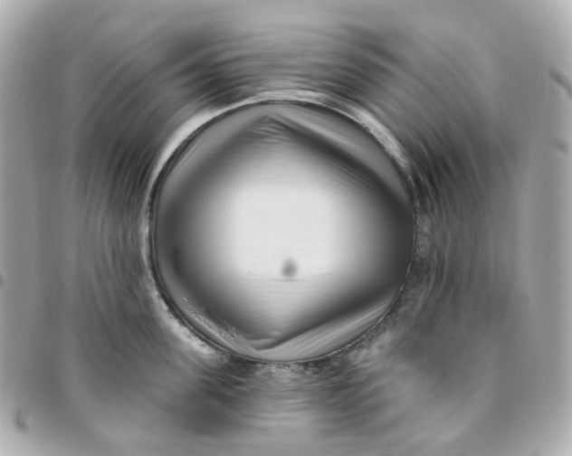 X0000095900955200802011125