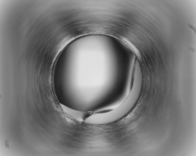 X0000095900956200802011125