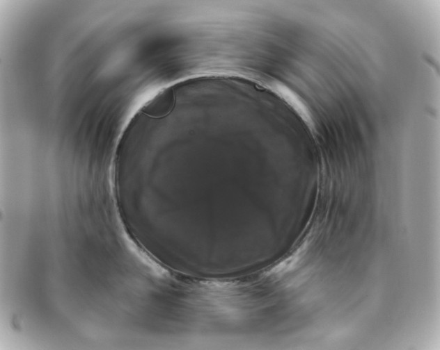 X0000095900958200802011125