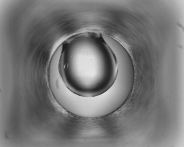 X0000095900960200802011125