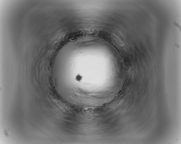 X0000095900961200802011125