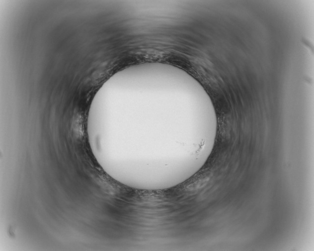 X0000095900962200802011125