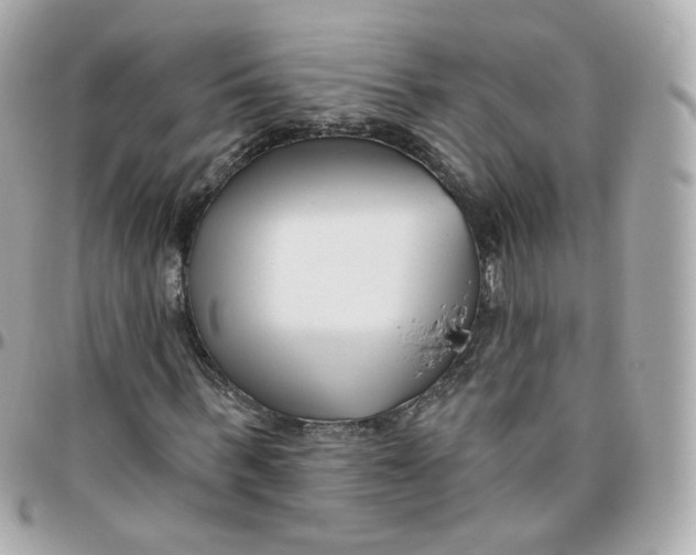 X0000095900963200802011125