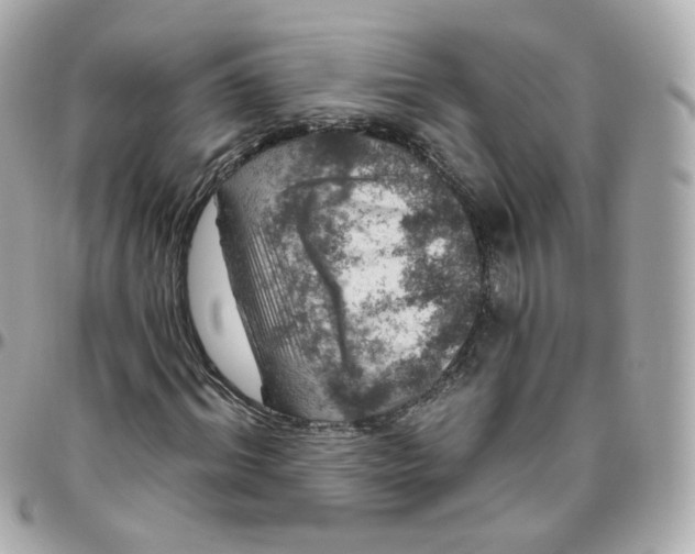 X0000095900964200802011125