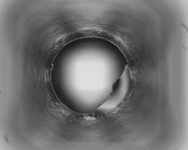 X0000095900965200802011125