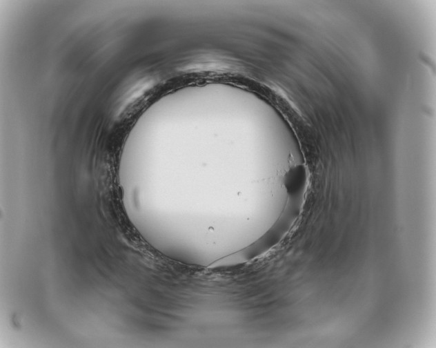 X0000095900967200802011125