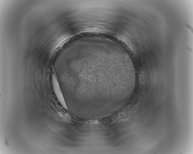 X0000095900968200802011125