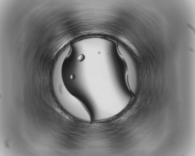 X0000095900969200802011125