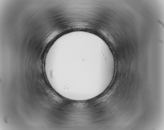 X0000095900970200802011125