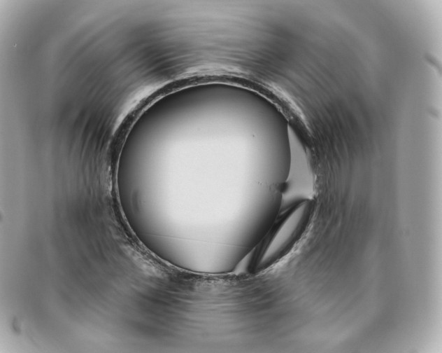 X0000095900973200802011125