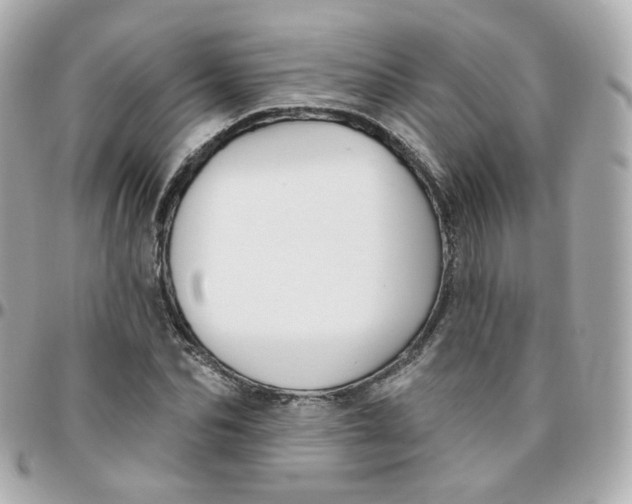 X0000095900974200802011125