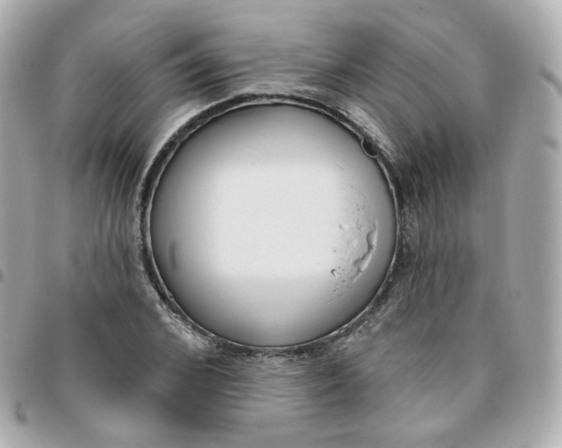 X0000095900976200802011125